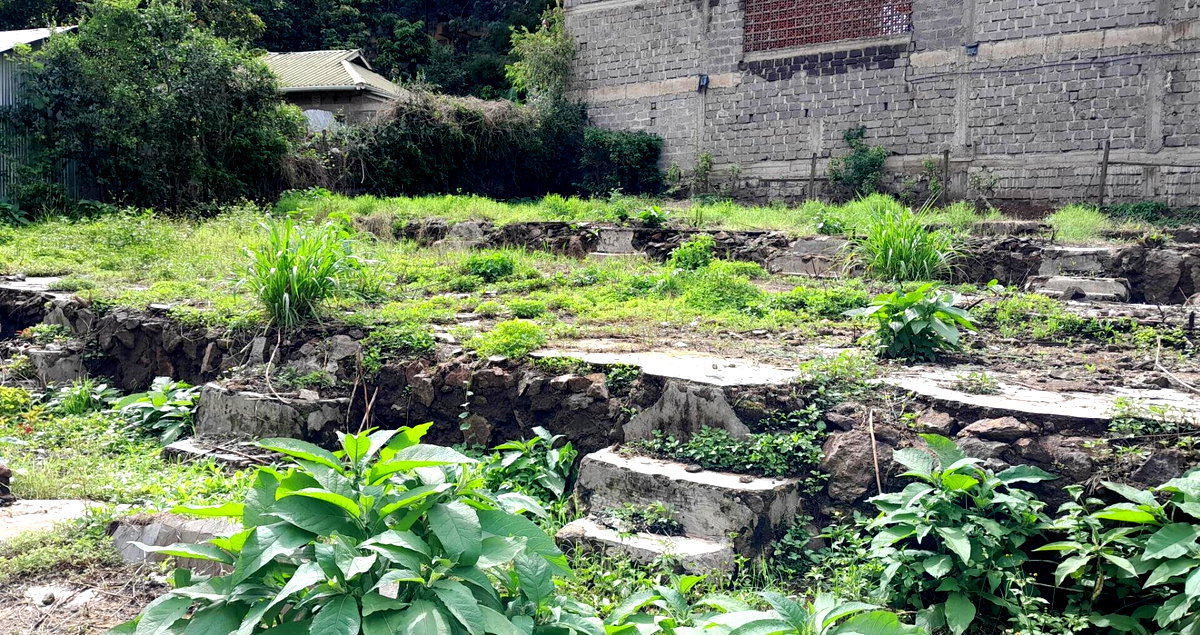 Garden Oasis on 1/4 Acre