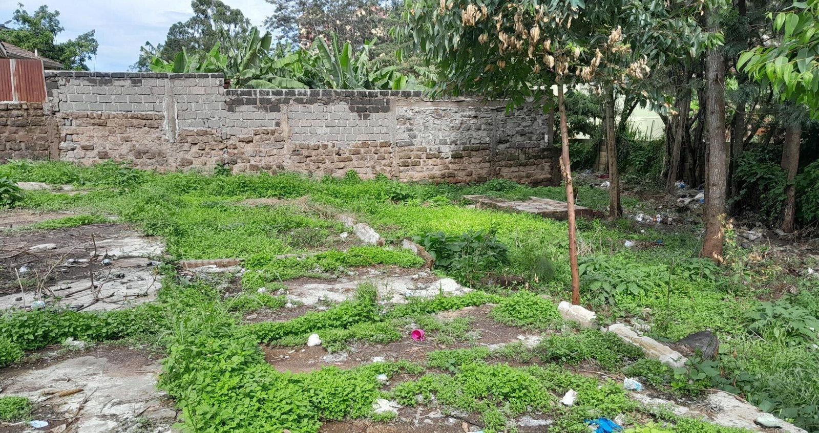 Garden Oasis on 1/4 Acre