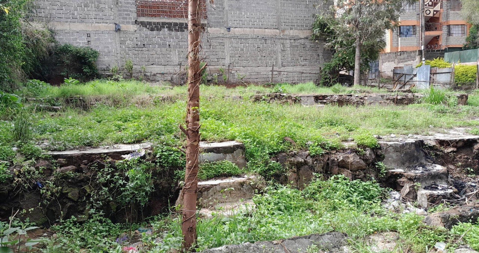 Garden Oasis on 1/4 Acre