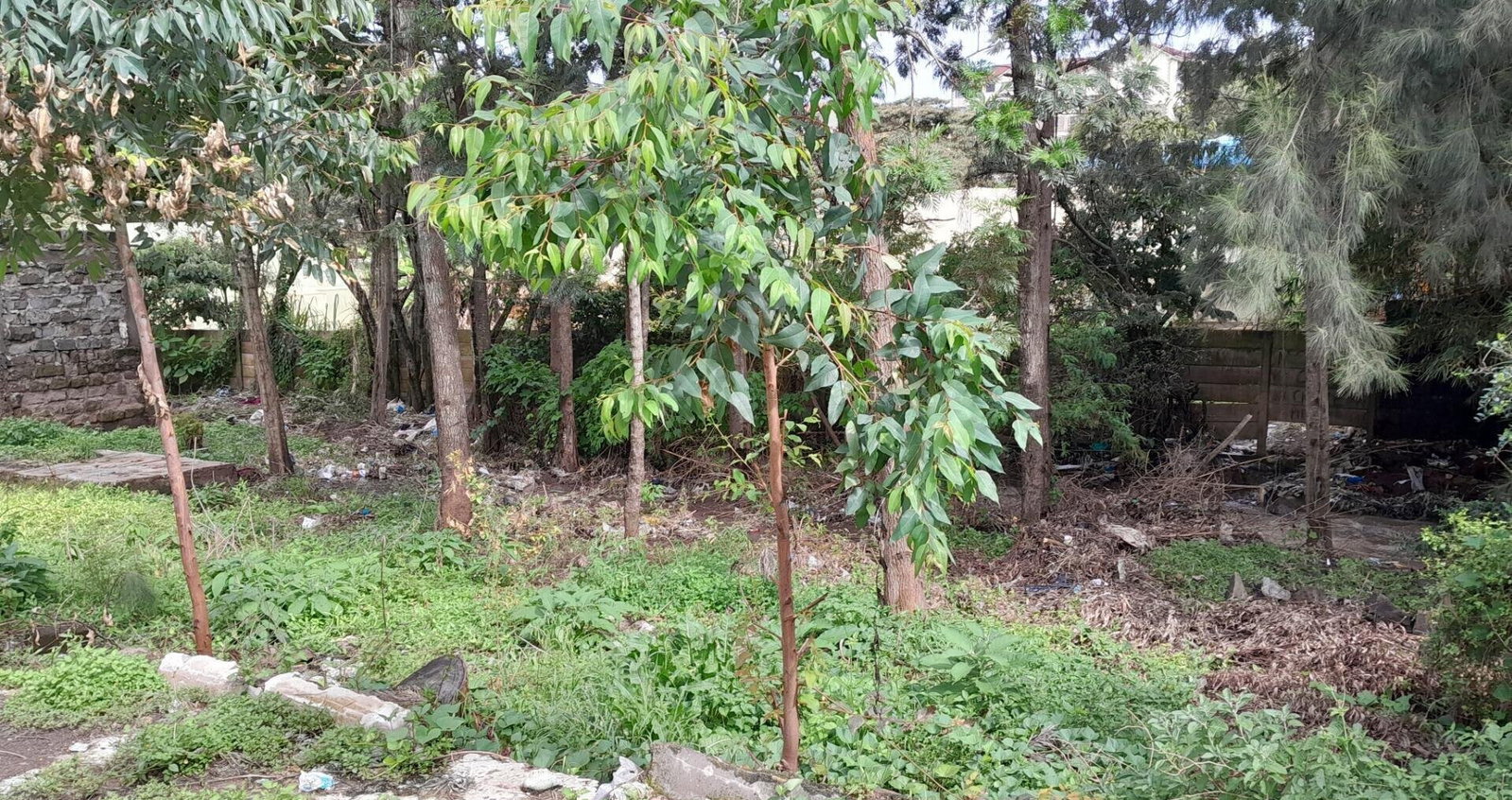 Garden Oasis on 1/4 Acre