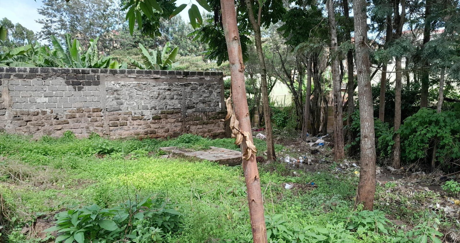Garden Oasis on 1/4 Acre