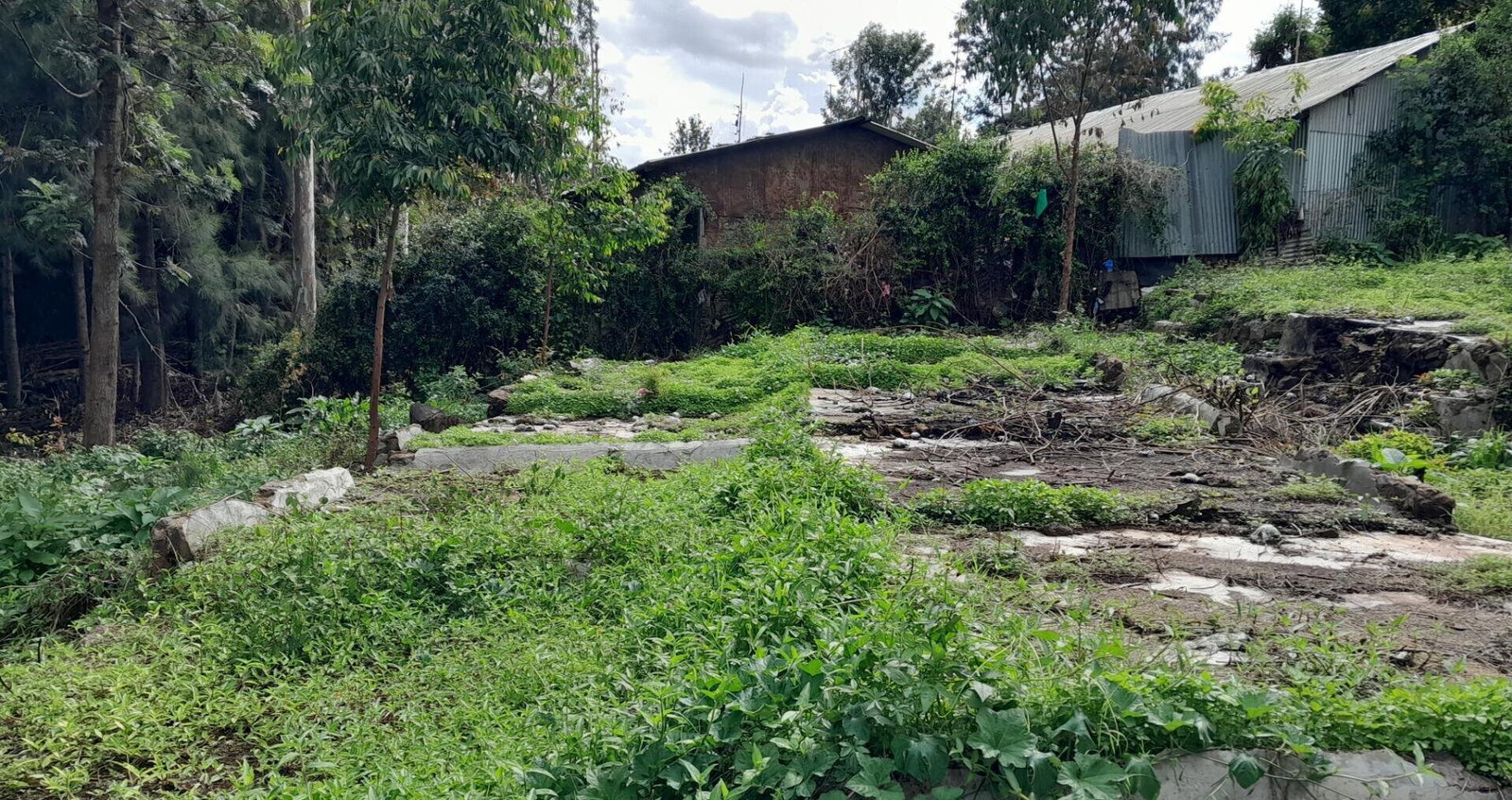 Garden Oasis on 1/4 Acre