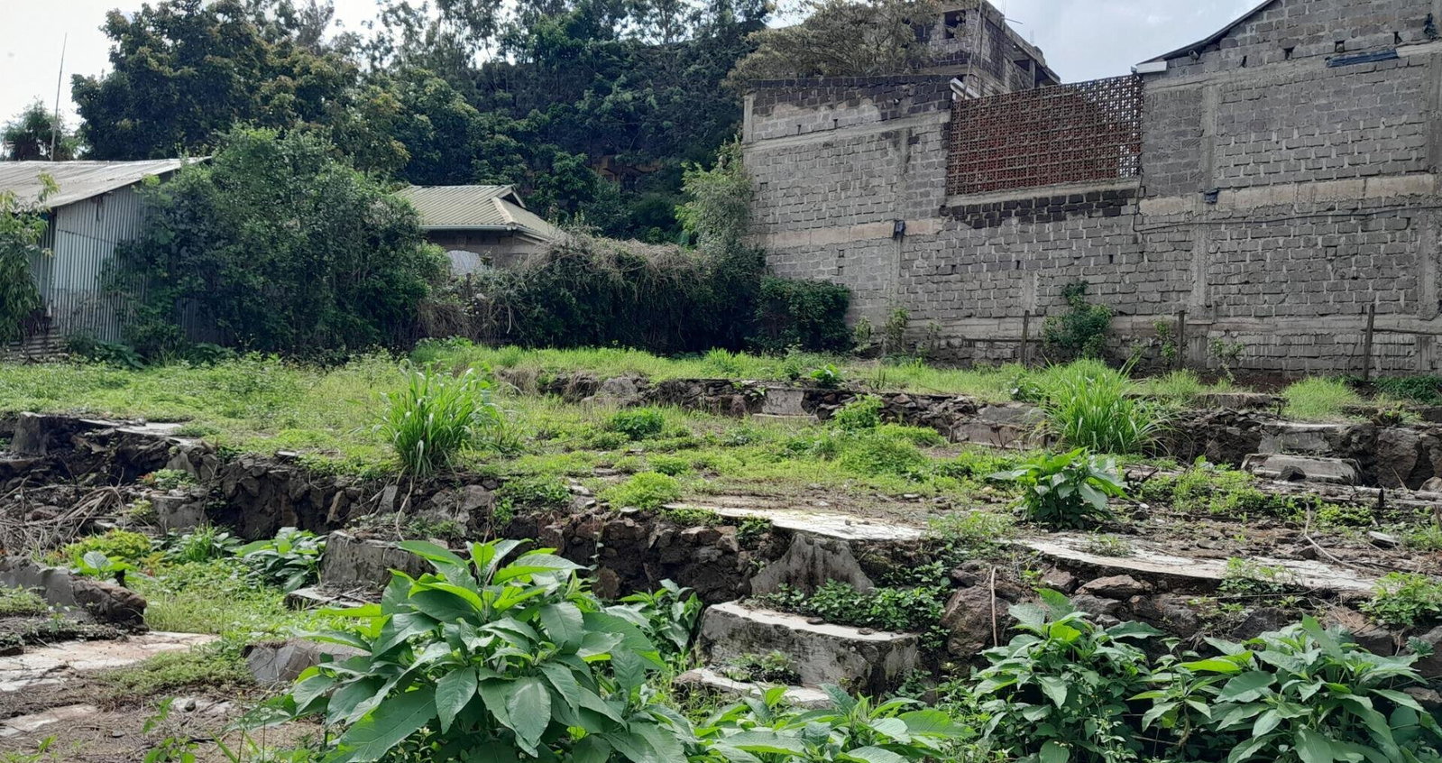Garden Oasis on 1/4 Acre