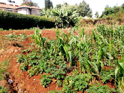 Prime 0.05 Ha Commercial Plot for Sale in Kikuyu Town. - Image 7