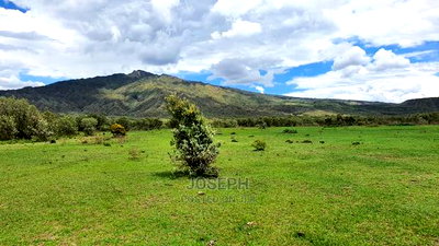 Charming Block of 112 Acres Naivasha Kedong - Image 5