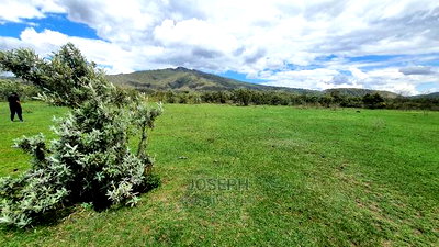 Charming Block of 112 Acres Naivasha Kedong - Image 11