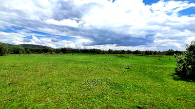 Charming Block of 112 Acres Naivasha Kedong - Image 2