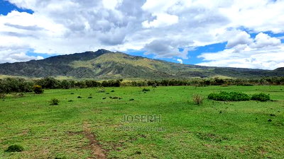Charming Block of 112 Acres Naivasha Kedong - Image 4