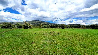 Charming Block of 112 Acres Naivasha Kedong - Image 1
