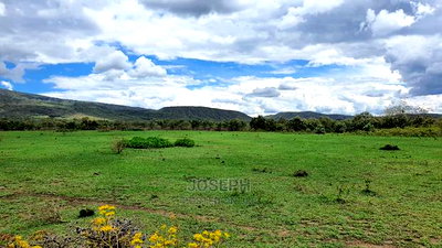 Charming Block of 112 Acres Naivasha Kedong - Image 6
