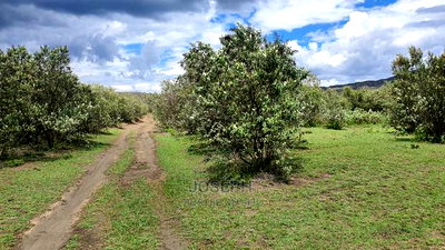 Charming Block of 112 Acres Naivasha Kedong - Image 7