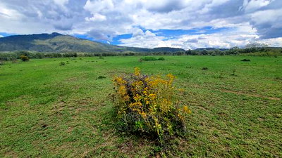 Charming Block of 112 Acres Naivasha Kedong - Image 9