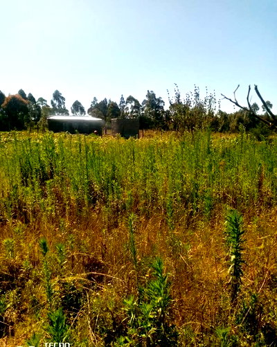 2-Acre Plot for KSh 40M