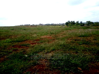 A 50*100 Plots for Sale in Pazuri Park Oakland - Image 10