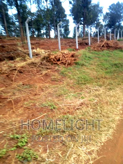 A 50*100 Plots for Sale in Pazuri Park Oakland - Image 1