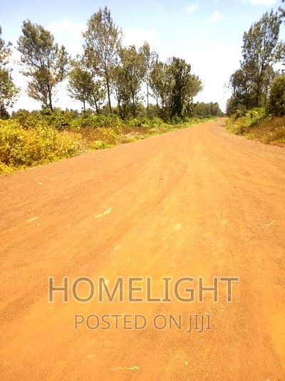 A 50*100 Plots for Sale in Pazuri Park Oakland - Image 2