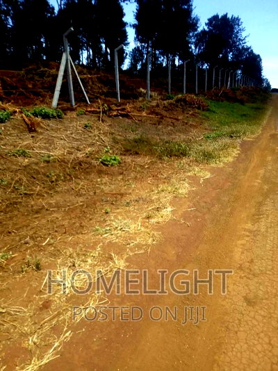 A 50*100 Plots for Sale in Pazuri Park Oakland - Image 4