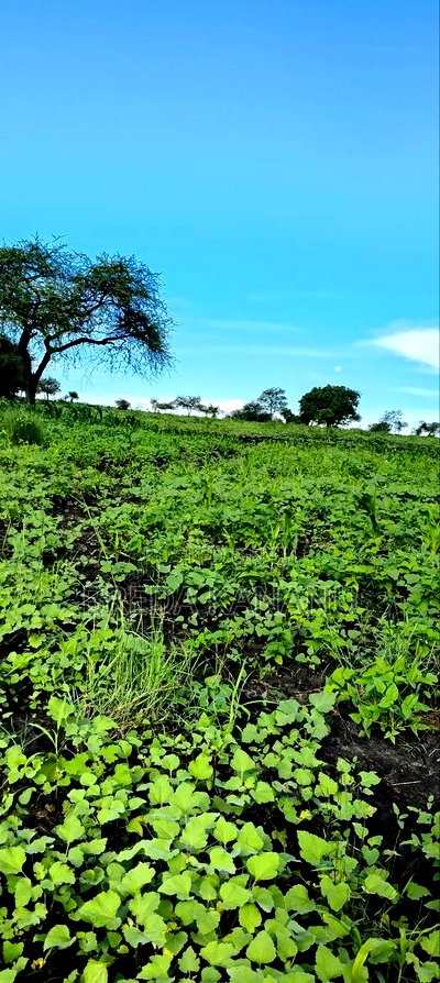 Matuu Plots for Sale - Image 2