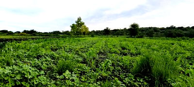 Matuu Plots for Sale - Image 1