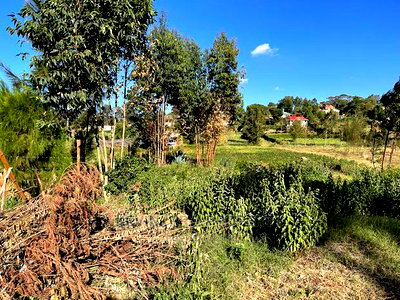 Prime Plot for Sale Touching Tarmac in Kikuyu, Ondiri. - Image 12