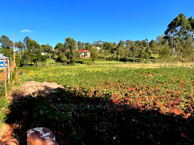 Prime Plot for Sale Touching Tarmac in Kikuyu, Ondiri. - Image 4