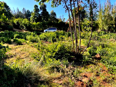 Prime Plot for Sale Touching Tarmac in Kikuyu, Ondiri. - Image 9