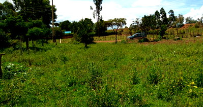 1/4 Acre Plot Under 2M