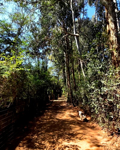 4.45-Acre Property with Garden and Parking