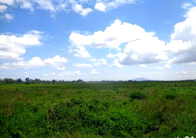 KSh 14.5M Acre Plot