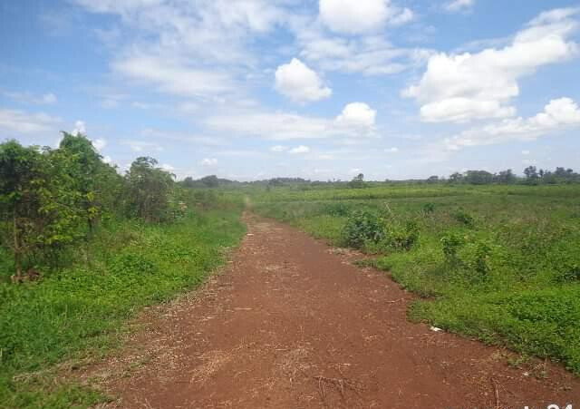 KSh 14.5M Acre Plot