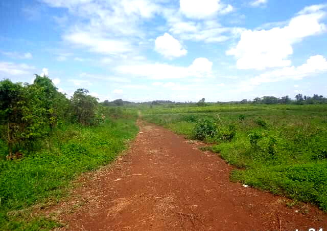 KSh 14.5M Acre Plot
