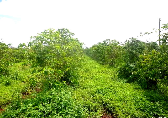 KSh 14.5M Acre Plot