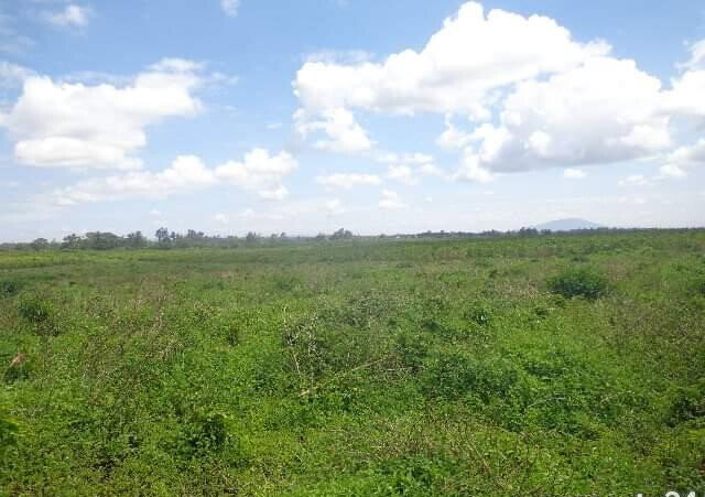 KSh 14.5M Acre Plot