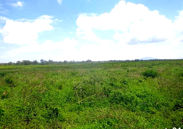 KSh 14.5M Acre Plot