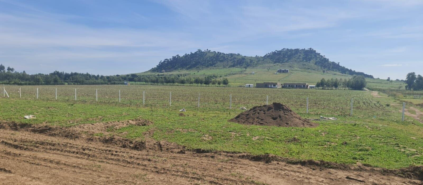 1/8 Acre Plot for KSh 395K