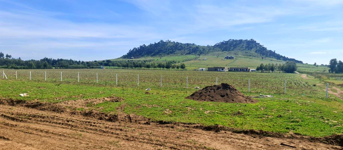 1/8 Acre Plot for KSh 395K