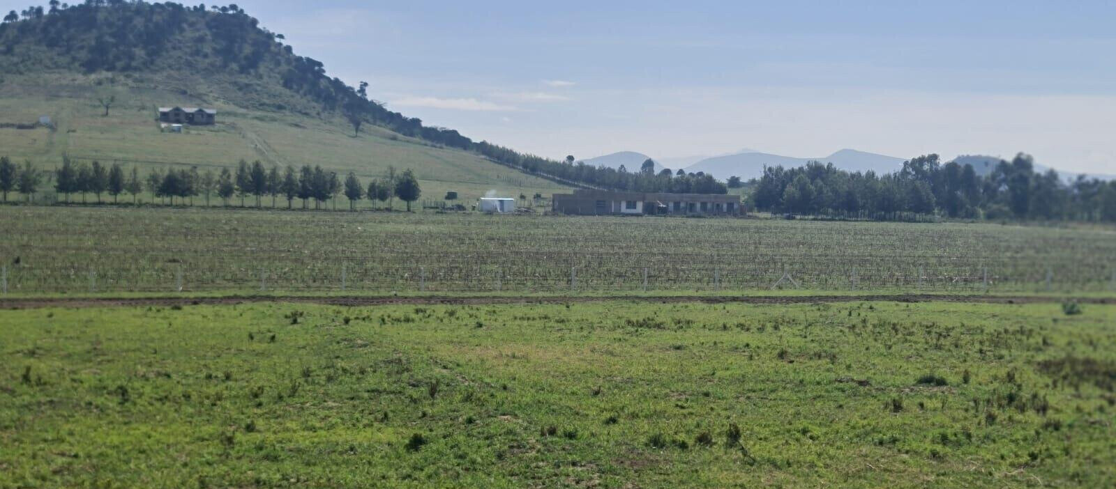 1/8 Acre Plot for KSh 395K