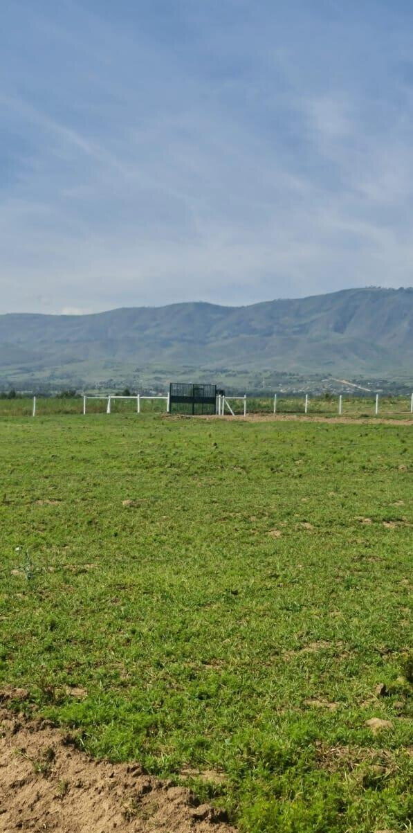 1/8 Acre Plot for KSh 395K