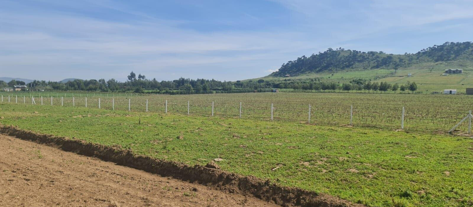 1/8 Acre Plot for KSh 395K