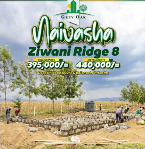 1/8 Acre Plot for KSh 395K