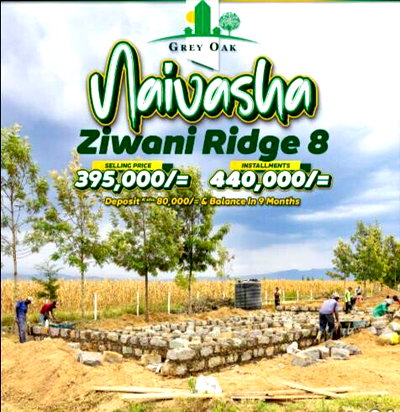1/8 Acre Plot for KSh 395K