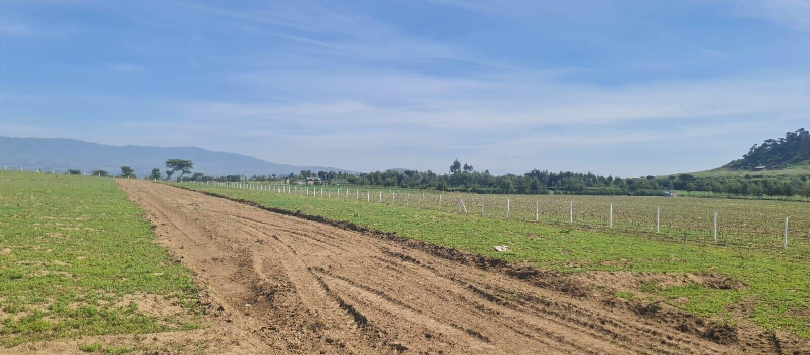 1/8 Acre Plot for KSh 395K