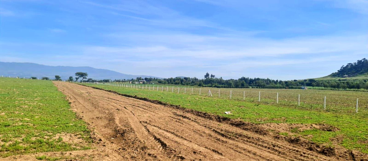 1/8 Acre Plot for KSh 395K