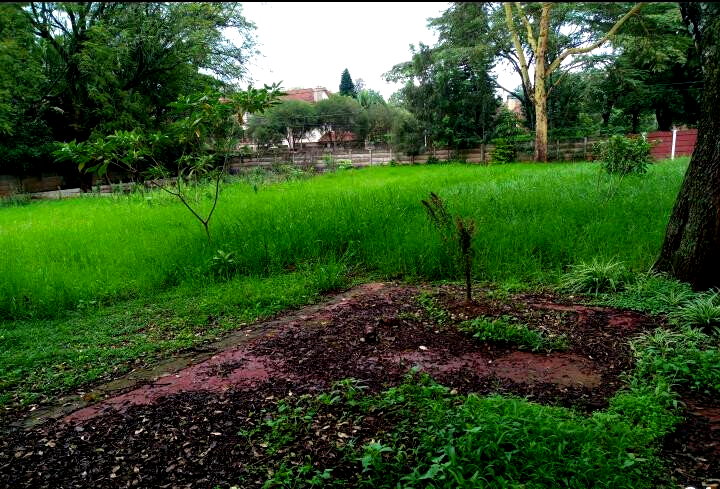 3/4 Acre Lavington Plot for KSh 270M
