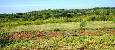 Embu , Mariari 5.8 Acres Agricultural Farmland With River - Image 16