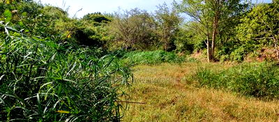 Embu , Mariari 5.8 Acres Agricultural Farmland With River - Image 8