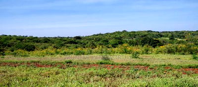 Embu , Mariari 5.8 Acres Agricultural Farmland With River - Image 10