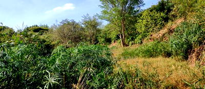Embu , Mariari 5.8 Acres Agricultural Farmland With River - Image 1