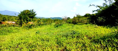 Embu , Mariari 5.8 Acres Agricultural Farmland With River - Image 11