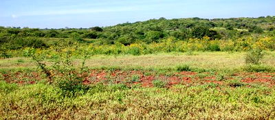 Embu , Mariari 5.8 Acres Agricultural Farmland With River - Image 14